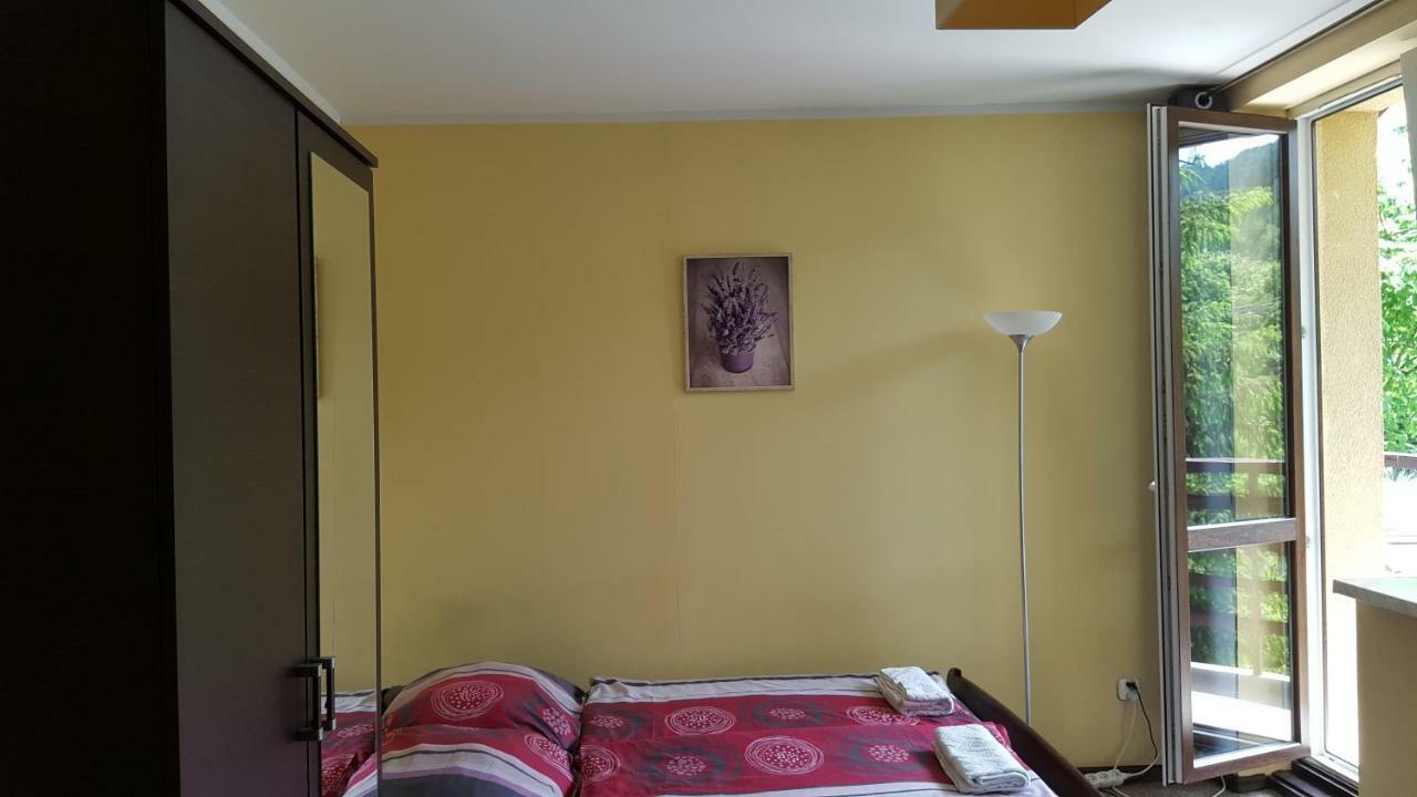 Niezapominajka Panzió Szczyrk Kültér fotó